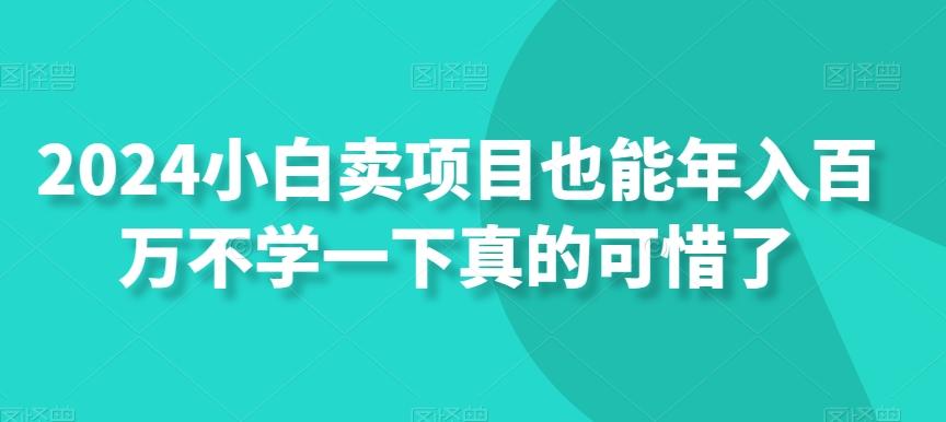 2024小白卖项目也能年入百万不学一下真的可惜了-情久项目网