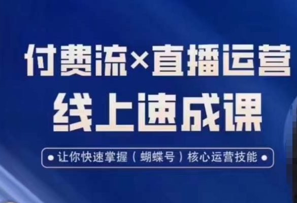 视频号付费流实操课程，付费流✖️直播运营速成课，让你快速掌握视频号核心运营技能-情久项目网
