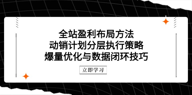 全站盈利布局方法：动销计划分层执行策略，爆量优化与数据闭环技巧-情久项目网