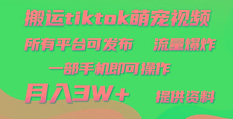 (9618期)搬运Tiktok萌宠类视频，一部手机即可。所有短视频平台均可操作，月入3W+-情久项目网