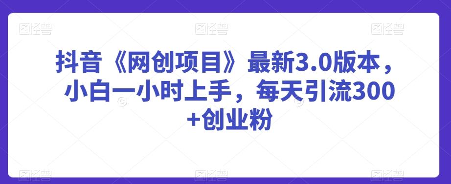 抖音《网创项目》最新3.0版本，小白一小时上手，每天引流300+创业粉【揭秘】-情久项目网