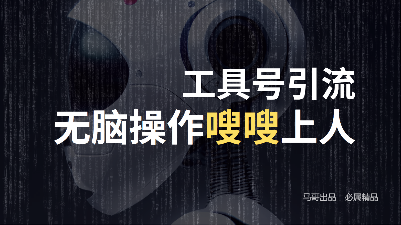 工具号高效引流法，嗖嗖上人，日引1000+，直接搬运，无脑操作-情久项目网