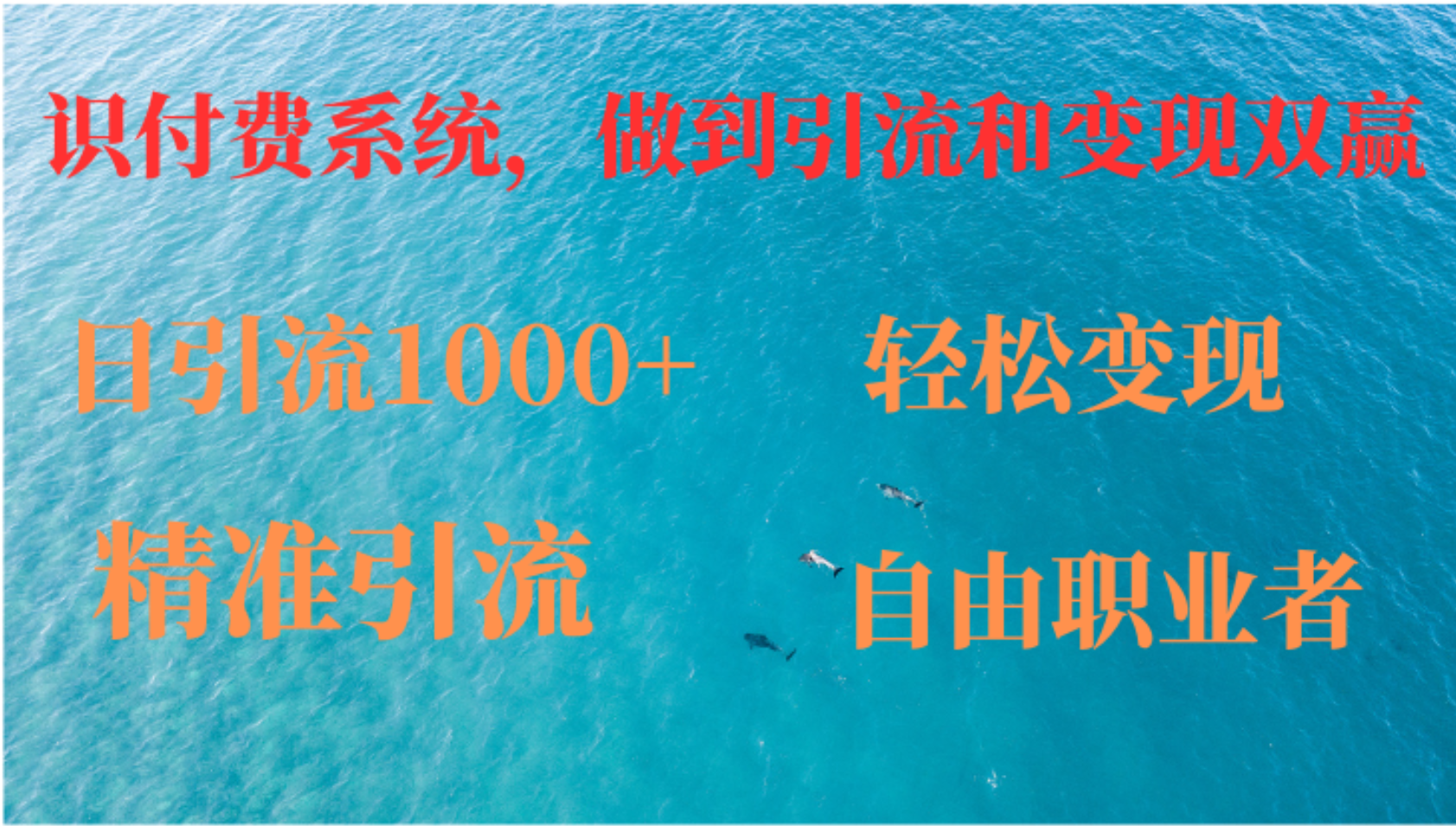 如何搭建自己的知识付费系统，做到引流和变现双赢-情久项目网