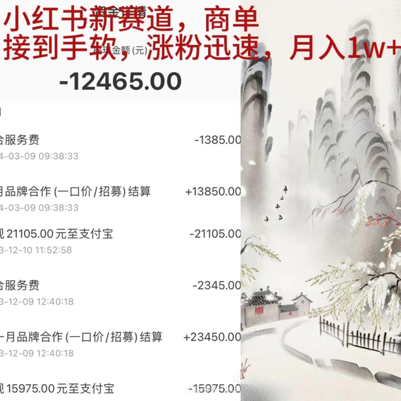 (9476期)小红书新赛道，商单接到手软，涨粉迅速，月入1w+-情久项目网
