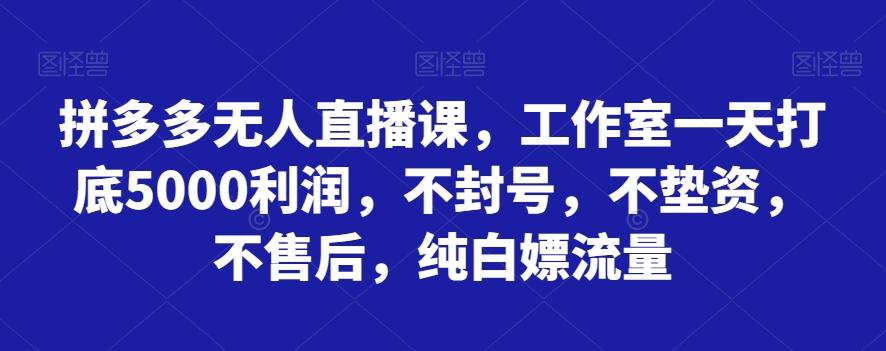 拼多多无人直播课，工作室一天打底5000利润，不封号，不垫资，不售后，纯白嫖流量-情久项目网