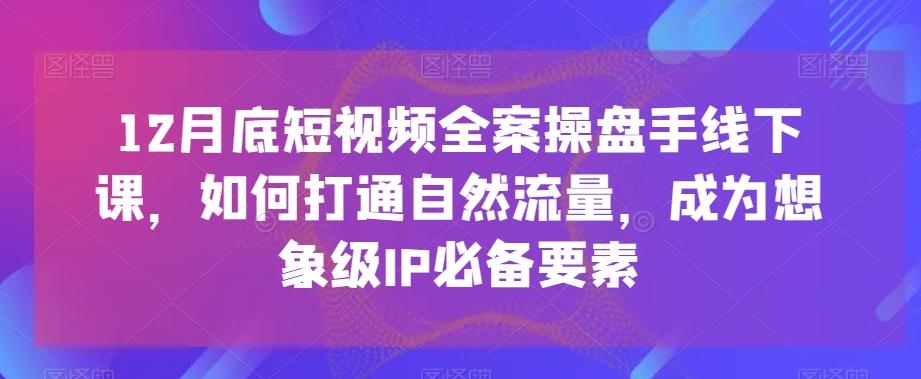 12月底短视频全案操盘手线下课，如何打通自然流量，成为想象级IP必备要素-情久项目网