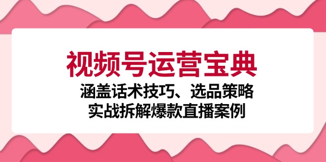 视频号运营宝典：涵盖话术技巧、选品策略、实战拆解爆款直播案例-情久项目网