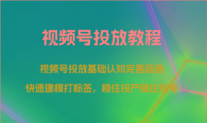 视频号投放教程-视频号投放基础认知完善疏通，快速建模打标签，稳住投产稳住账号-情久项目网