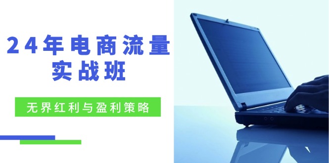 24年电商流量实战班：无界 红利与盈利策略，终极提升/关键词优化/精准…-情久项目网