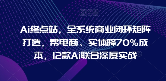 Ai终点站，全系统商业闭环矩阵打造，帮电商、实体降70%成本，12款Ai联合深度实战【0906更新】-情久项目网