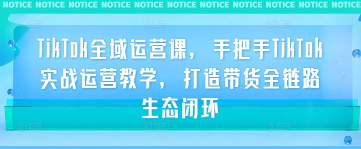 TikTok全域运营课，手把手TikTok实战运营教学，打造带货全链路生态闭环-情久项目网
