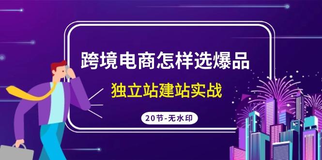 (9369期)跨境电商怎样选爆品，独立站建站实战(20节高清无水印课)-情久项目网