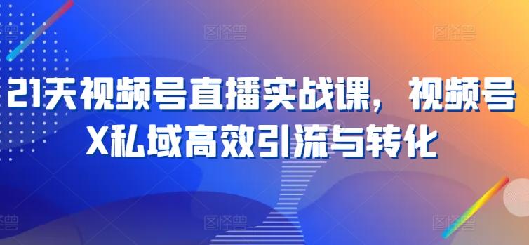 21天视频号直播实战课，视频号X私域高效引流与转化-情久项目网