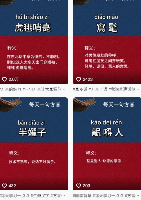 抖音最新涨粉玩法，图文方言暴力涨粉实操，126作品涨粉11W-情久项目网