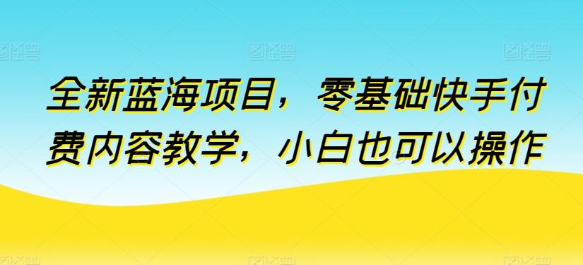 全新蓝海项目，零基础快手付费内容教学，小白也可以操作【揭秘】-情久项目网