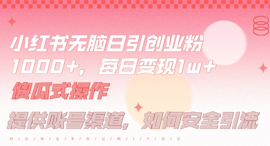 小红书无脑每日引流创业粉500+，小白每天只花半小时，躺赚长尾收益【揭秘】-情久项目网