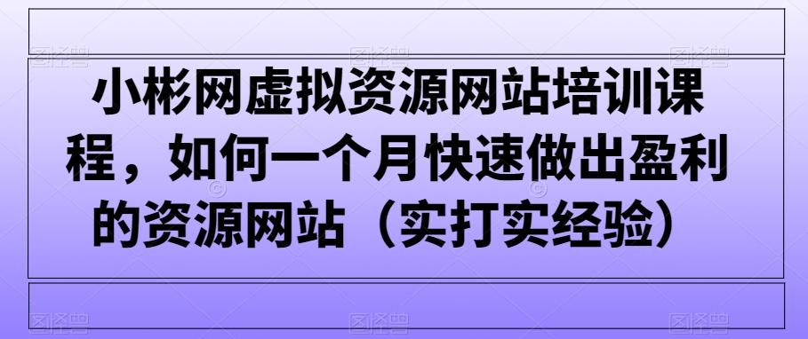 小彬网虚拟资源网站培训课程，如何一个月快速做出盈利的资源网站(实打实经验)-情久项目网