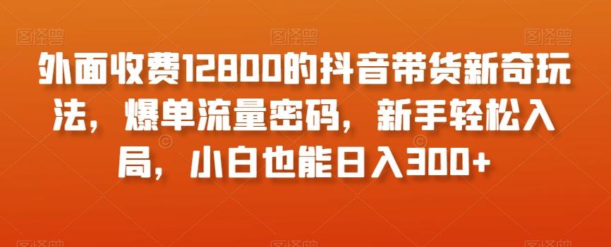 外面收费12800的抖音带货新奇玩法，爆单流量密码，新手轻松入局，小白也能日入300+【揭秘】-情久项目网