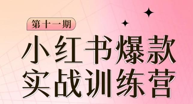 小红书博主爆款训练营第11期，手把手教你从0-1做小红书，从定位到起号到变现-情久项目网