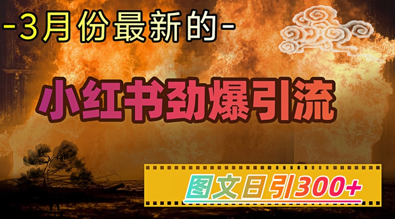 小红书超劲爆引流手段，图文日引300+轻松变现1W-情久项目网