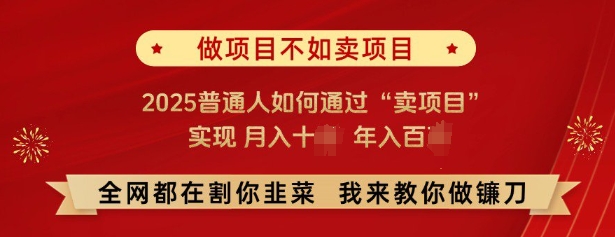 必看，做项目不如卖项目，2025普通人如何通过“卖项目”实现月入十个，年入百个-情久项目网