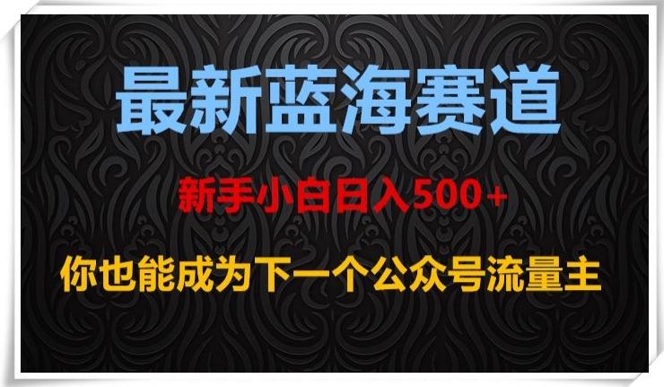 最新蓝海赛道，新手小白日入500+，你也能成为下一个公众号流量主【揭秘】-情久项目网