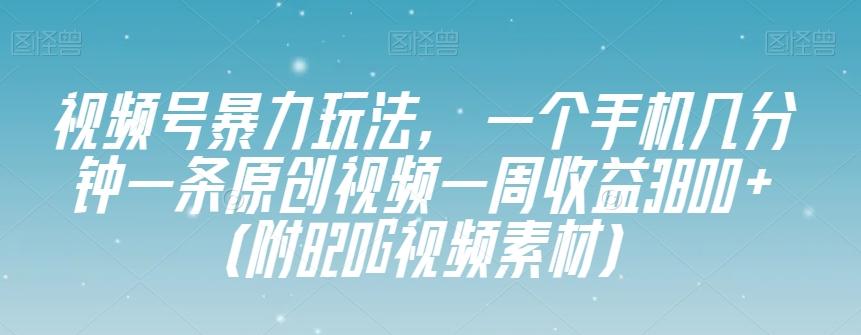 视频号暴力玩法，一个手机几分钟一条原创视频一周收益3800+（附820G视频素材）-情久项目网
