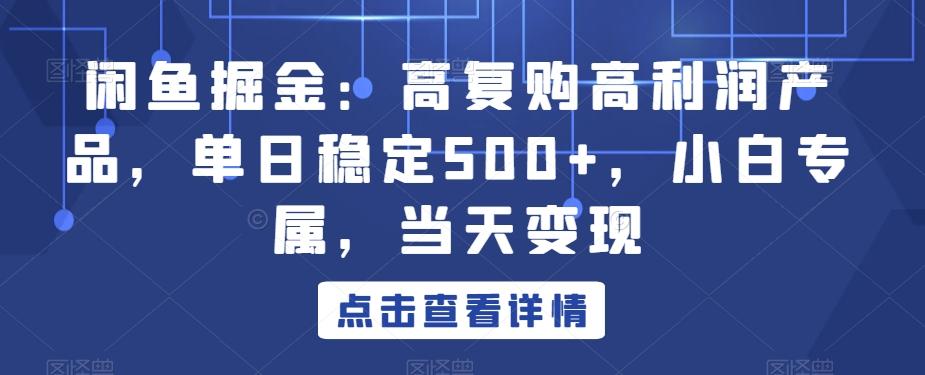 闲鱼掘金：高复购高利润产品，单日稳定500+，小白专属，当天变现-情久项目网