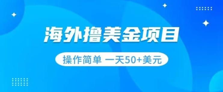 撸美金项目无门槛操作简单小白一天50+美刀-情久项目网