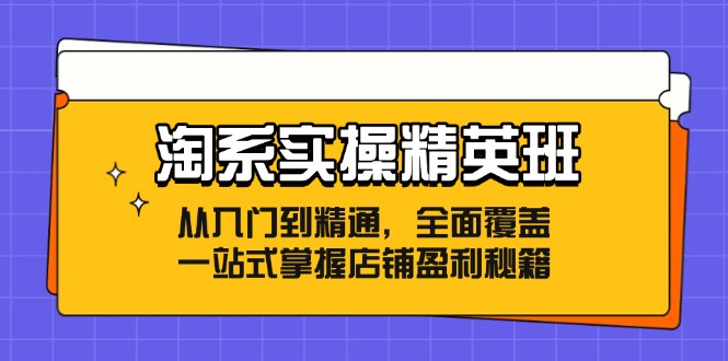 淘系实操精英班：从入门到精通，全面覆盖，一站式掌握店铺盈利秘籍-情久项目网