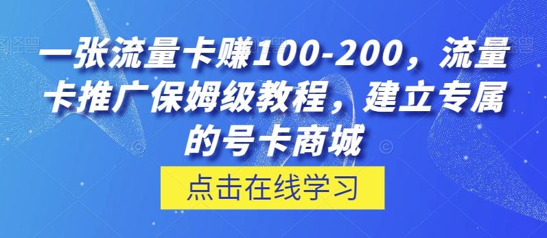 一张流量卡赚100-200，流量卡推广保姆级教程，建立专属的号卡商城-情久项目网