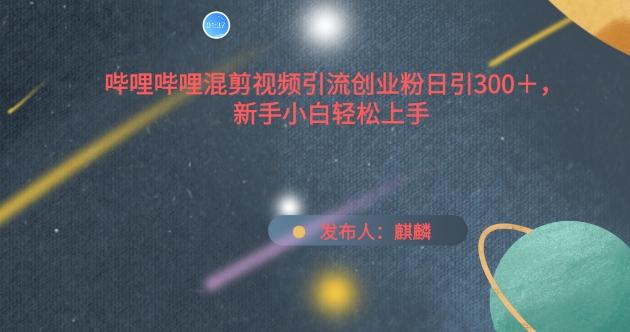 哔哩哔哩混剪视频引流创业粉日引300+，新手小白轻松上手【揭秘】-情久项目网