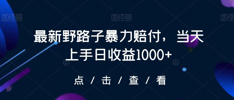 最新野路子暴力赔付，当天上手日收益1000+【仅揭秘】-情久项目网
