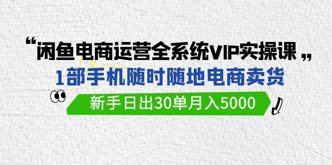 (9547期)闲鱼电商运营全系统VIP实战课，1部手机随时随地卖货，新手日出30单月入5000-情久项目网