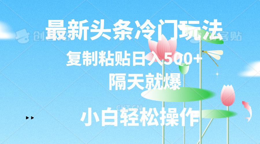 最新头条冷门玩法，隔天就爆，复制粘贴日入500+-情久项目网