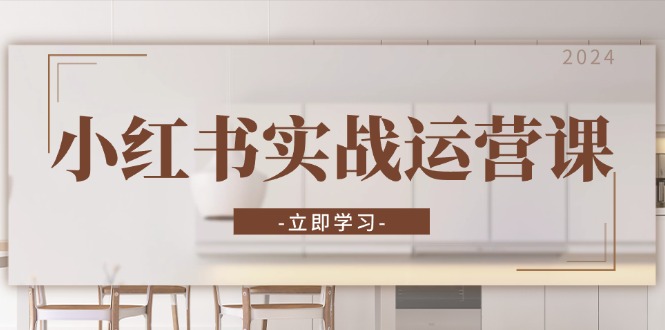 小红书实战运营课：从开通店铺到直播话术，打造爆款笔记与高效直播-情久项目网