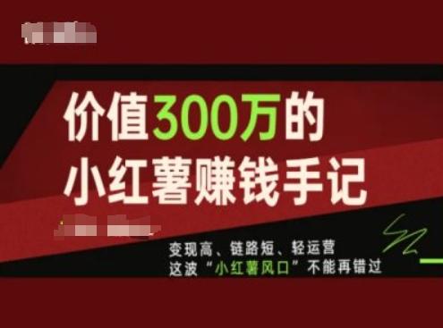 价值300万的小红书赚钱手记，变现高、链路短、轻运营，这波“小红薯风口”不能再错过-情久项目网