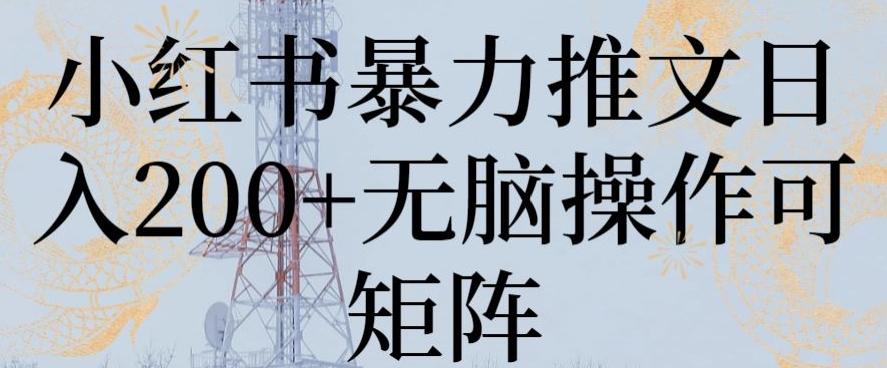 小红书暴力推文日入200+无脑操作可矩阵【揭秘】-情久项目网