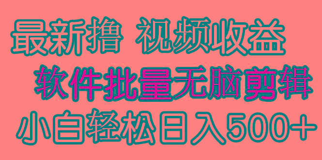 (9569期)发视频撸收益，软件无脑批量剪辑，第一天发第二天就有钱-情久项目网