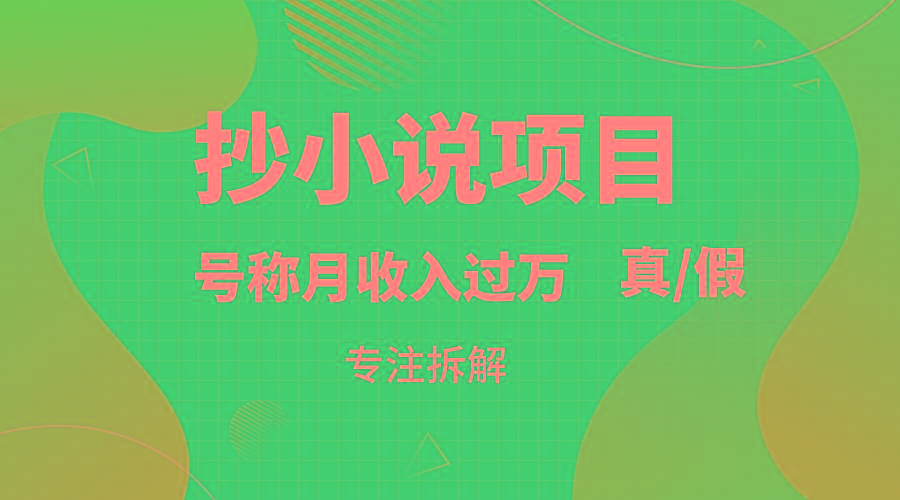 抄小说项目，号称月入过万，到底是否真实，能不能做，详细拆解-情久项目网