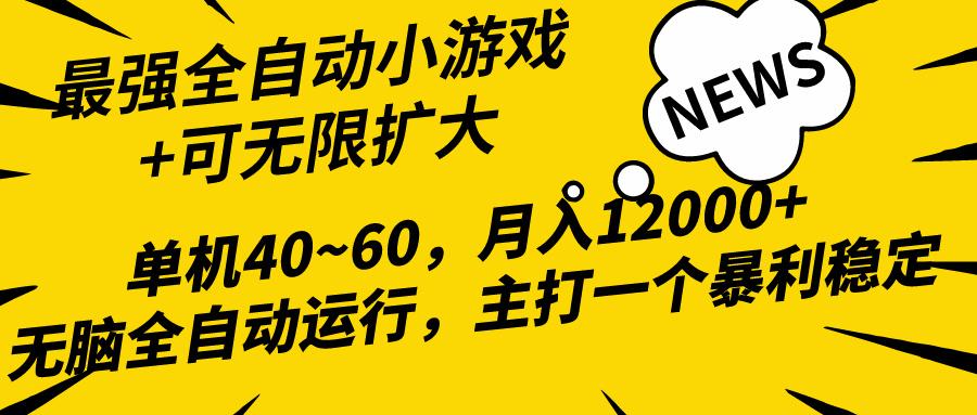 (10046期)2024最新全网独家小游戏全自动，单机40~60,稳定躺赚，小白都能月入过万-情久项目网
