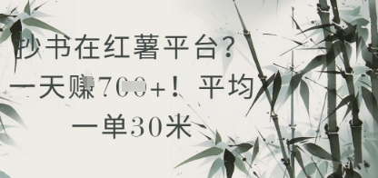 抄书在小红薯平台？平均一单30米，一天收益几张！-情久项目网