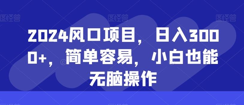 2024风口项目，日入3000+，简单容易，小白也能无脑操作-情久项目网