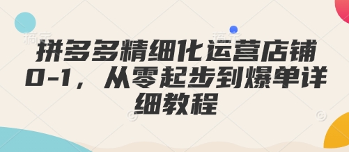 拼多多精细化运营店铺0-1，从零起步到爆单详细教程-情久项目网