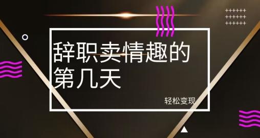 冷门赛道，辞职卖情趣的第几天，超暴力项目-情久项目网