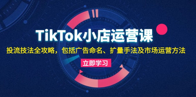 TikTok小店运营课：投流技法全攻略，包括广告命名 扩量手法及市场运营方法-情久项目网