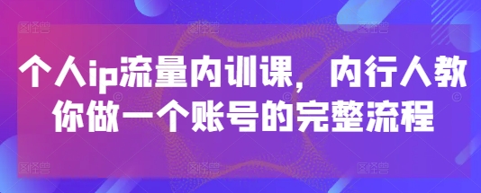 个人ip流量内训课，内行人教你做一个账号的完整流程-情久项目网