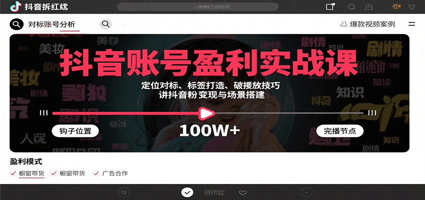 抖音账号盈利实战课，定位对标、标签打造、破播放技巧，讲涨粉变现与场景搭建-情久项目网