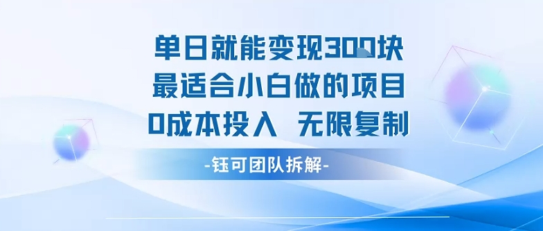 单日就能变现3张最适合小白做的项目0成本投入 无限复制-情久项目网