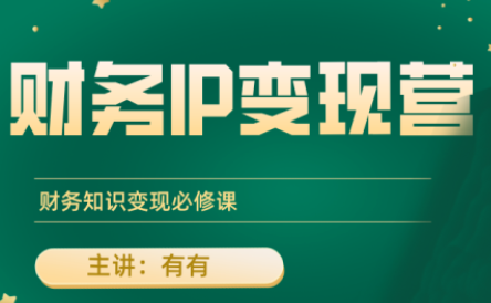 有有老师·财务IP变现营，财务知识变现必修课-情久项目网